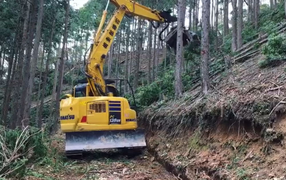 素材生産・森林調査・森林保育